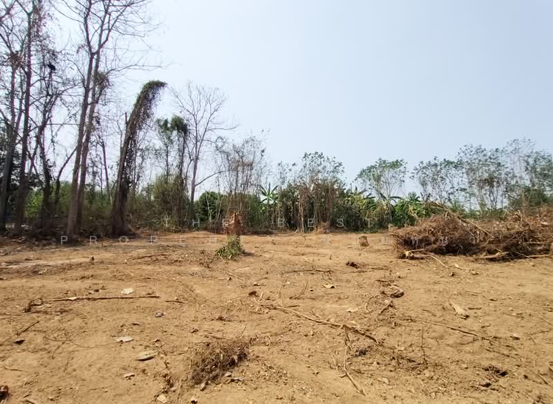 ที่ดินบ้านเกาะ อุตรดิตถ์, Uttaradit, Ban Ko, Muang Uttaradit, Uttaradit, , 2,444 sqm, Land For Sale, by The Best Property น้อยหน่า, 500243191 - DDproperty.com