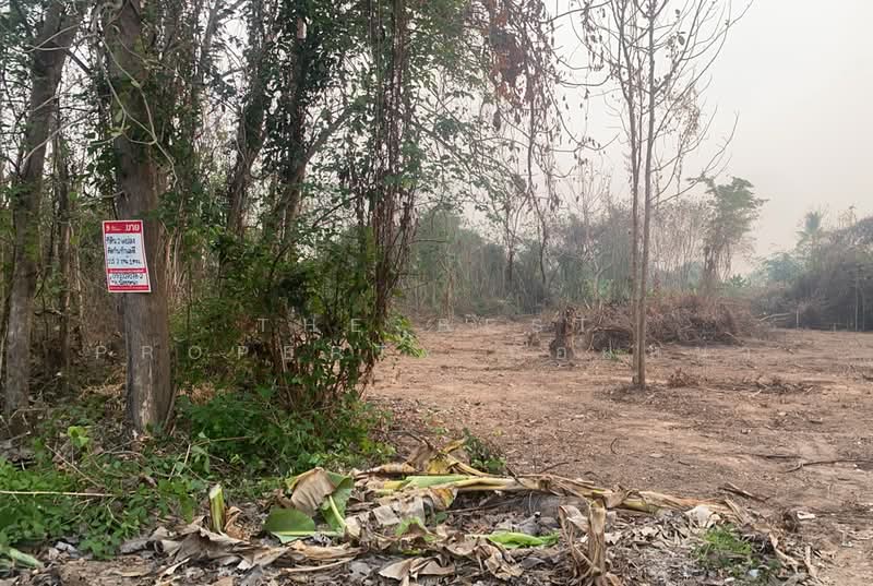 ที่ดินบ้านเกาะ อุตรดิตถ์, Uttaradit, Ban Ko, Muang Uttaradit, Uttaradit, , 2,444 sqm, Land For Sale, by The Best Property น้อยหน่า, 500243191 - DDproperty.com