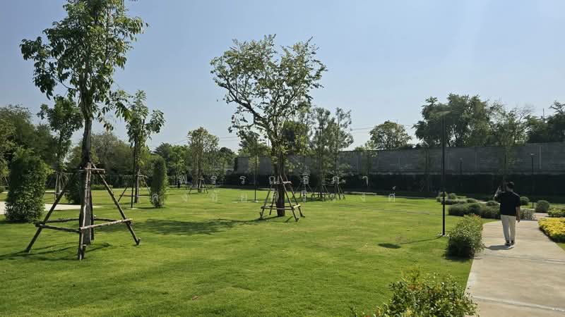 Grand Canal Donmuang, Bangkok, Cherdwutthakat Road, Si Khan, Don Mueang, Bangkok, , 532 sqm, Land For Sale, by พรรณธิภา คงชัยศิริวงศ์, 500243250 - DDproperty.com