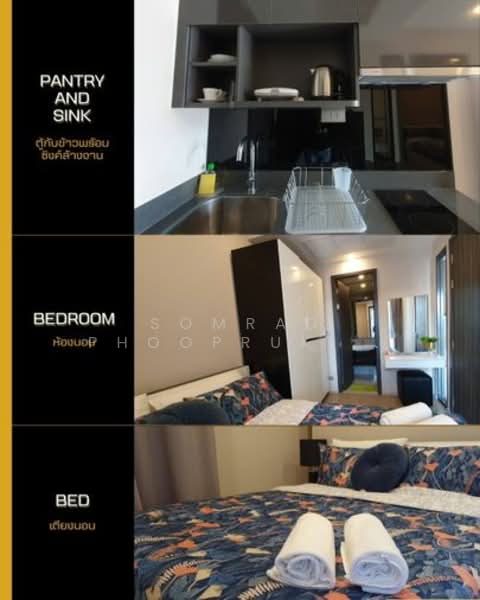 ASHTON Asoke, Bangkok, 131 Asoke Montri Road, Khlongtoei Nua, Watthana, Bangkok, 1 Bedroom, 31 sqm, Condo For Sale, by Somrad Phoopruksachart, 500243257 - DDproperty.com