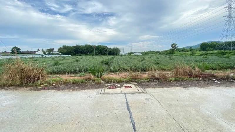 เขาคันทรง, ชลบุรี, เขาคันทรง, ศรีราชา, ชลบุรี, 23,228 ตร.ม., ที่ดิน ขาย, โดย Infinity EEC (Thailand) Co., Ltd., 500243307 - DDproperty.com