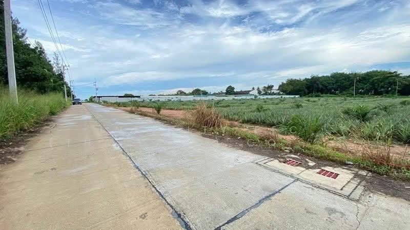 เขาคันทรง, Chon Buri (Pattaya), Khao Khan Song, Si Racha, Chon Buri (Pattaya), , 23,228 sqm, Land For Sale, by Infinity EEC (Thailand) Co., Ltd., 500243307 - DDproperty.com