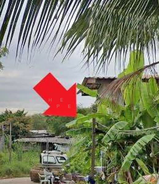 ที่ดินบางพลี สมุทรปราการ, Samut Prakan, Bangphli Yai, Bang Plee, Samut Prakan, , 348 sqm, Land For Sale, by The Best Property เทียน, 500243324 - DDproperty.com