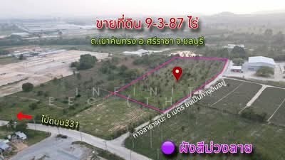 ขาย - เขาคันทรง, ชลบุรี