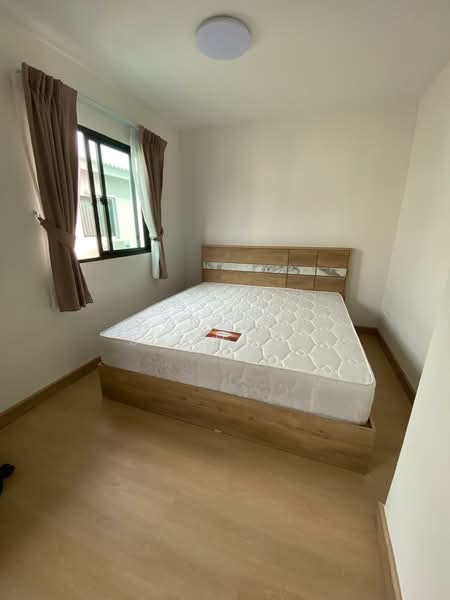 The Connect Pattanakarn 38 : เดอะ คอนเนค พัฒนาการ 38, กรุงเทพ, ซอยพัฒนาการ 38 ถนนพัฒนาการ, สวนหลวง, สวนหลวง, กรุงเทพ, 120 ตร.ม., ทาวน์เฮ้าส์ ให้เช่า, โดย Sunitra Sachdev, 500243368 - DDproperty.com