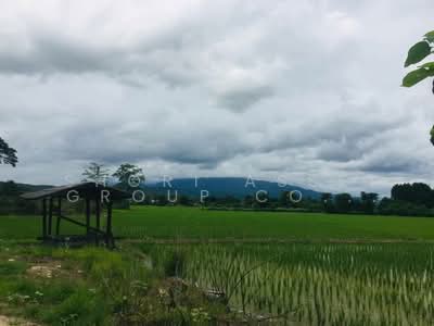 ขาย - ที่ดินหางดงพร้อมสวนลำไย, เชียงใหม่