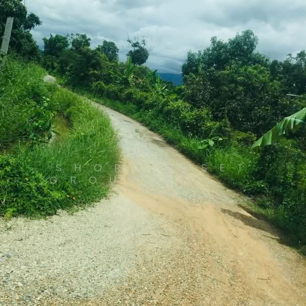 Land in Hang Dong with a longan orchard., Chiang Mai, Nam Phare, Hang Dong, Chiang Mai, , 4,800 sqm, Land For Sale, by Shori Asset Group Co., Ltd., 500243384 - DDproperty.com