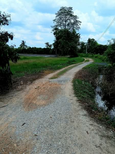 Land in Hang Dong with a longan orchard., Chiang Mai, Nam Phare, Hang Dong, Chiang Mai, , 4,800 sqm, Land For Sale, by Shori Asset Group Co., Ltd., 500243384 - DDproperty.com