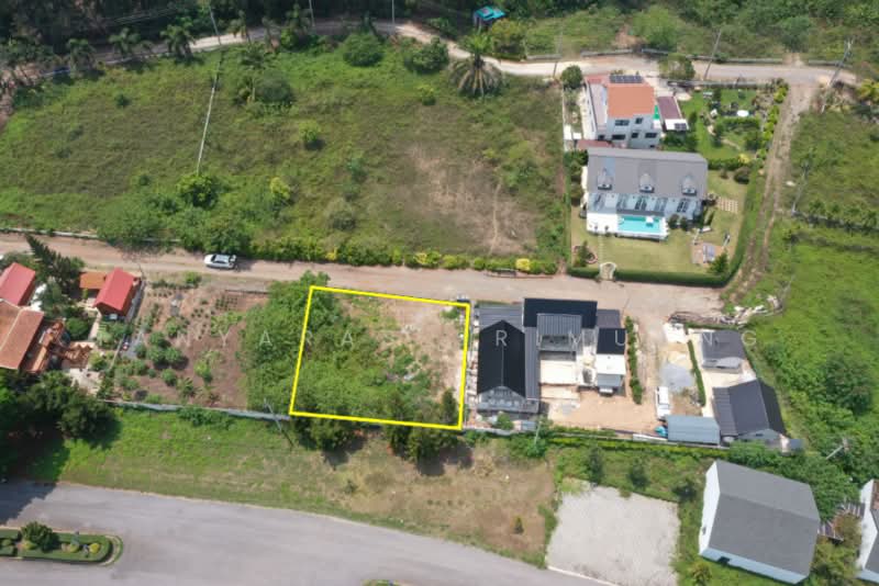 Land For U, Nakhon Ratchasima, Wang Zai, Pak Chong, Nakhon Ratchasima, , 600 sqm, Land For Sale, by Tanyaras Srimuang, 500243399 - DDproperty.com