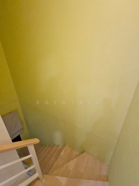 The Connect UP 3 ChalermPhraKeit 67, Bangkok, Soi Chaloem Phrakiat 67, Prawet, Prawet, Bangkok, 3 Bedrooms, 200 sqm, Townhouse For Rent, by Agentbkk, 500243450 - DDproperty.com