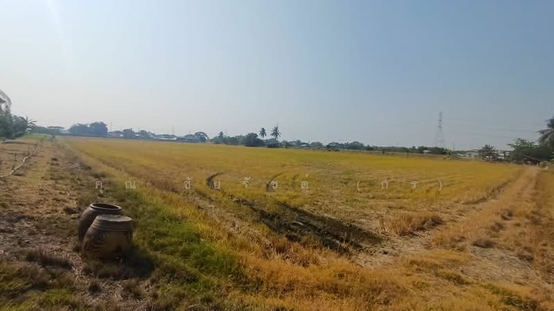 ที่ดิน 34-1-44 ไร่ ไทรน้อย ทำเลดี ราคาถูกมาก, นนทบุรี, คลองนาหมอน, คลองขวาง, ไทรน้อย, นนทบุรี, 54,976 ตร.ม., ที่ดิน ขาย, โดย คุณ ชัยรัชต์ (กร), 500243456 - DDproperty.com