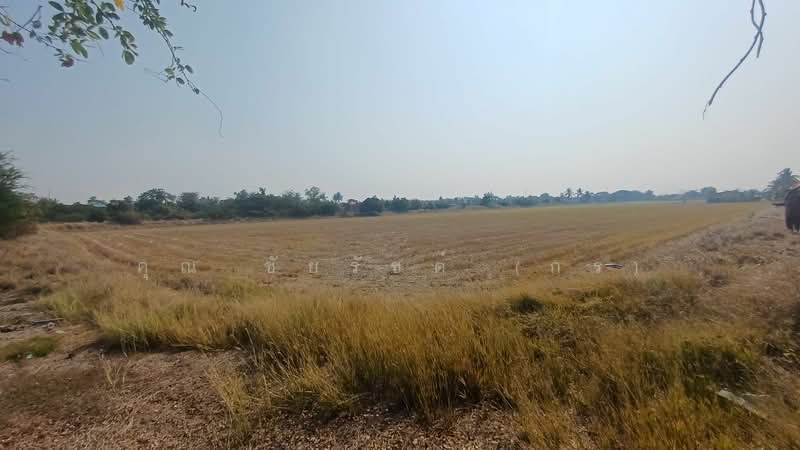 ที่ดิน 34-1-44 ไร่ ไทรน้อย ทำเลดี ราคาถูกมาก, Nonthaburi, คลองนาหมอน, Khlong Khwang, Sai Noi, Nonthaburi, , 54,976 sqm, Land For Sale, by คุณ ชัยรัชต์ (กร), 500243456 - DDproperty.com