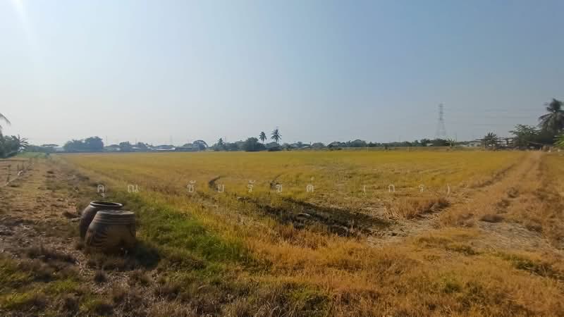 ที่ดิน 34-1-44 ไร่ ไทรน้อย ทำเลดี ราคาถูกมาก, Nonthaburi, คลองนาหมอน, Khlong Khwang, Sai Noi, Nonthaburi, , 54,976 sqm, Land For Sale, by คุณ ชัยรัชต์ (กร), 500243456 - DDproperty.com