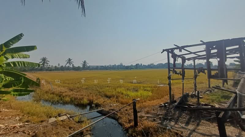 ที่ดิน 34-1-44 ไร่ ไทรน้อย ทำเลดี ราคาถูกมาก, Nonthaburi, คลองนาหมอน, Khlong Khwang, Sai Noi, Nonthaburi, , 54,976 sqm, Land For Sale, by คุณ ชัยรัชต์ (กร), 500243456 - DDproperty.com