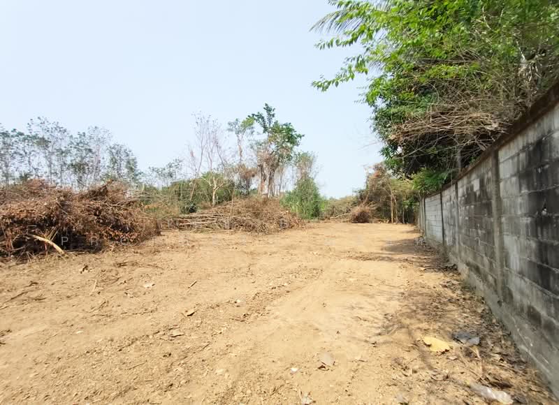 ที่ดินบ้านเกาะ อุตรดิตถ์, Uttaradit, Ban Ko, Muang Uttaradit, Uttaradit, , 1,560 sqm, Land For Sale, by The Best Property น้อยหน่า, 500243525 - DDproperty.com