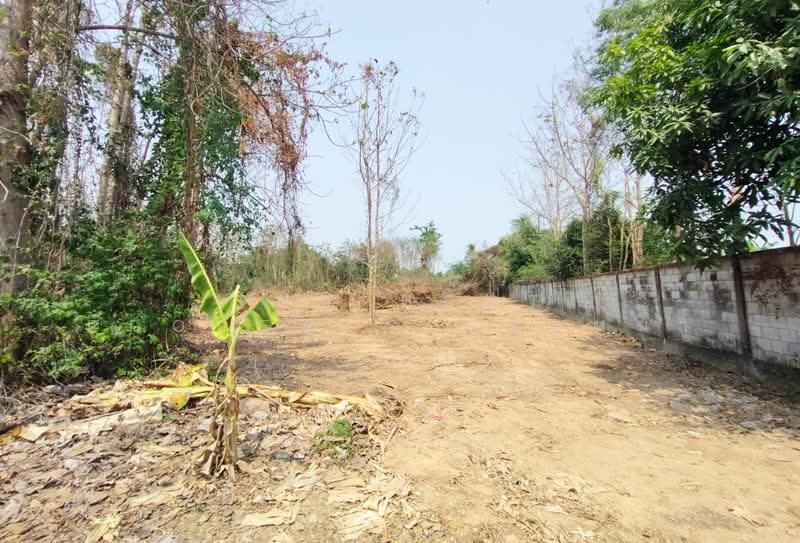 ที่ดินบ้านเกาะ อุตรดิตถ์, Uttaradit, Ban Ko, Muang Uttaradit, Uttaradit, , 1,560 sqm, Land For Sale, by The Best Property น้อยหน่า, 500243525 - DDproperty.com