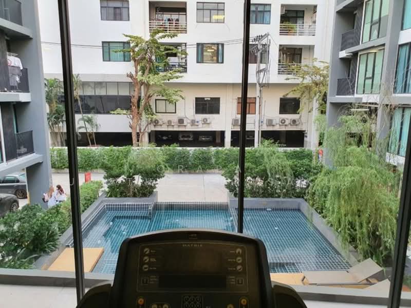 Serio Sukhumvit 50, Bangkok, Soi Sukhumvit 50, Phra Kanong, Khlong Toei, Bangkok, 1 Bedroom, 37 sqm, Condo For Sale, by Orapa Sumetheesirisakul, 500243554 - DDproperty.com