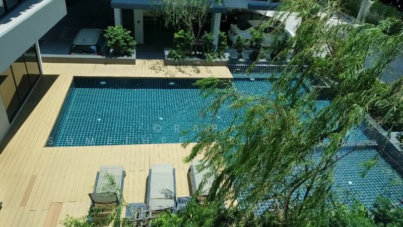 Serio Sukhumvit 50, Bangkok, Soi Sukhumvit 50, Phra Kanong, Khlong Toei, Bangkok, 1 Bedroom, 37 sqm, Condo For Sale, by Orapa Sumetheesirisakul, 500243554 - DDproperty.com