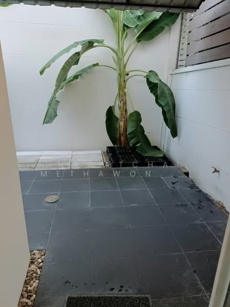 undefined, Bangkok, Hua Mak, Bang Kapi, Bangkok, 3 Bedrooms, 150 sqm, Single Detached House For Rent, by Thawatchai Methawongworakul, 500243652 - DDproperty.com