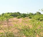 ที่ดินหินกอง ราชบุรี, ราชบุรี