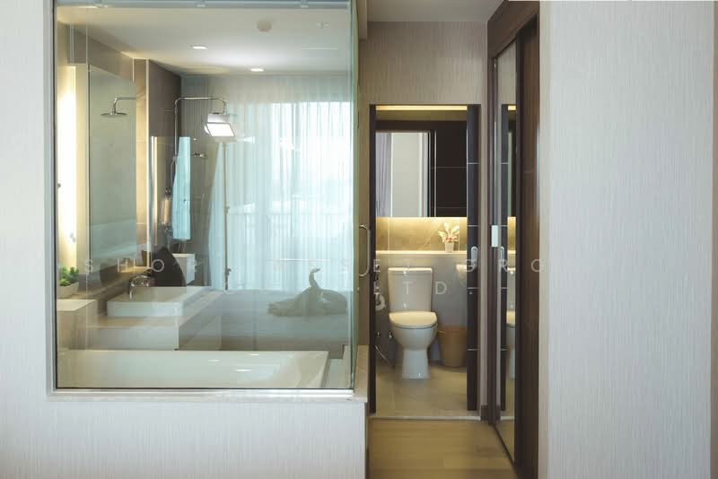 The Astra, Chiang Mai, 107 Changklan Rd, Chang Klan, Muang Chiang Mai, Chiang Mai, 1 Bedroom, 42 sqm, Condo For Rent, by Shori Asset Group Co., Ltd., 500243660 - DDproperty.com