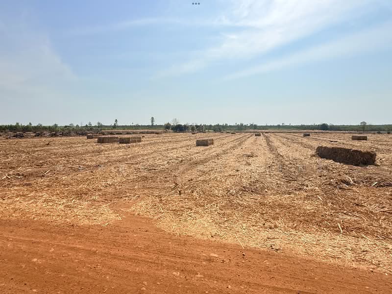 ขายที่ดินอ.วัฒนานคร จ.สระแก้ว, Sa Kaeo, Non Mak Keng, Watthana Nakhon, Sa Kaeo, , 80,652 sqm, Land For Sale, by พงศ์สุธี เหลืองเสรี, 500243667 - DDproperty.com