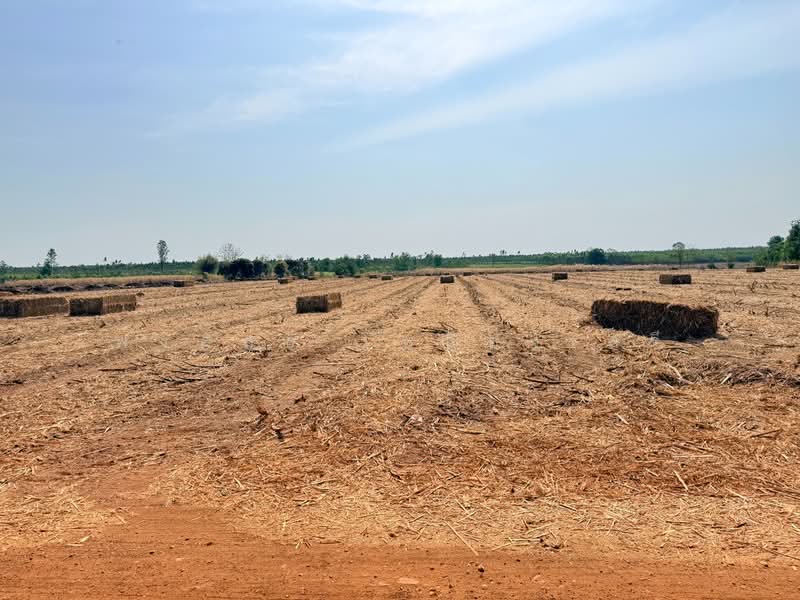 ขายที่ดินอ.วัฒนานคร จ.สระแก้ว, Sa Kaeo, Non Mak Keng, Watthana Nakhon, Sa Kaeo, , 80,652 sqm, Land For Sale, by พงศ์สุธี เหลืองเสรี, 500243667 - DDproperty.com