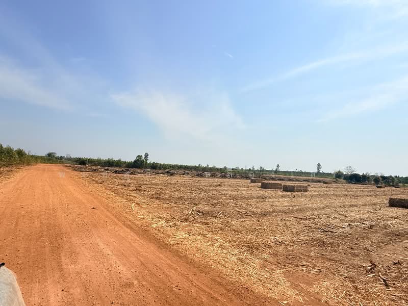 ขายที่ดินอ.วัฒนานคร จ.สระแก้ว, Sa Kaeo, Non Mak Keng, Watthana Nakhon, Sa Kaeo, , 80,652 sqm, Land For Sale, by พงศ์สุธี เหลืองเสรี, 500243667 - DDproperty.com