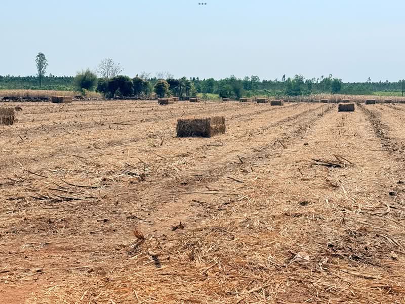 ขายที่ดินอ.วัฒนานคร จ.สระแก้ว, Sa Kaeo, Non Mak Keng, Watthana Nakhon, Sa Kaeo, , 80,652 sqm, Land For Sale, by พงศ์สุธี เหลืองเสรี, 500243667 - DDproperty.com