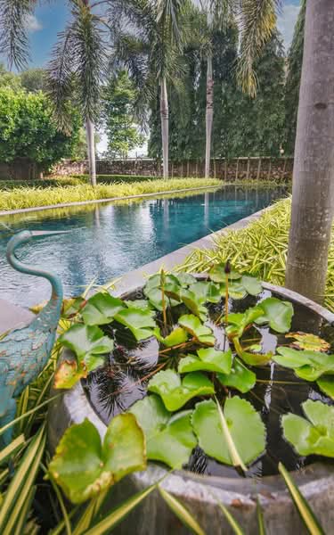 บางละมุง, Chon Buri (Pattaya), Nong Pru, Bang Lamung (Pattaya), Chon Buri (Pattaya), 3 Bedrooms, 300 sqm, Single Detached House For Sale, by Saimaii Russiphat, 500243688 - DDproperty.com