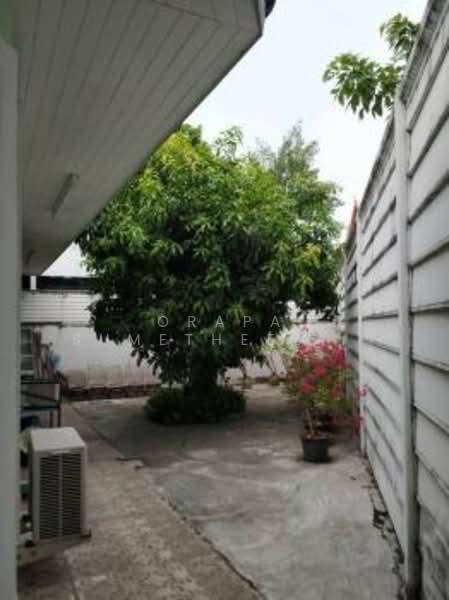 5-BR Townhouse, Bangkok, Chorake Bua, Lat Phrao, Bangkok, 5 Bedrooms, 220 sqm, Townhouse For Sale, by Orapa Sumetheesirisakul, 500243814 - DDproperty.com