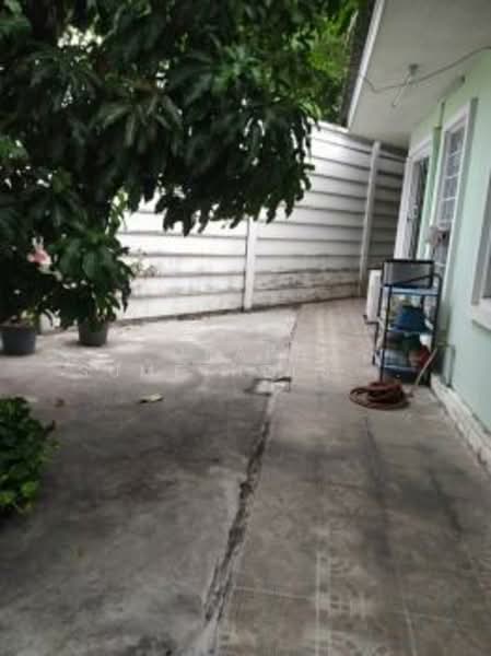 5-BR Townhouse, Bangkok, Chorake Bua, Lat Phrao, Bangkok, 5 Bedrooms, 220 sqm, Townhouse For Sale, by Orapa Sumetheesirisakul, 500243814 - DDproperty.com