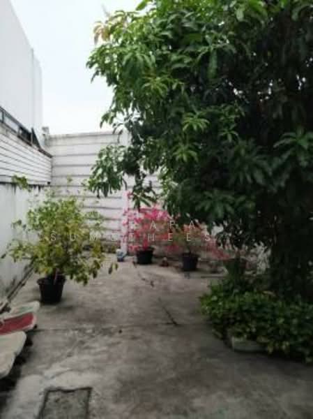 5-BR Townhouse, Bangkok, Chorake Bua, Lat Phrao, Bangkok, 5 Bedrooms, 220 sqm, Townhouse For Sale, by Orapa Sumetheesirisakul, 500243814 - DDproperty.com