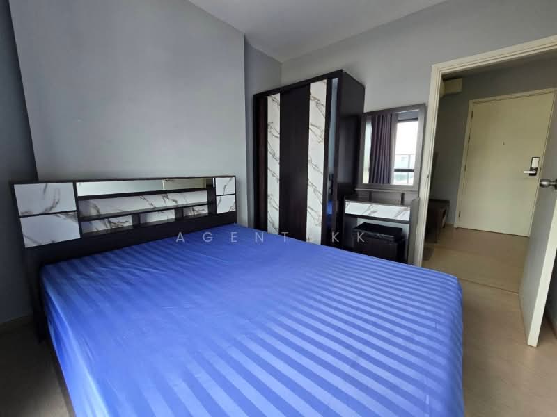 The Tree Sukhumvit 71-Ekamai : เดอะทรี สุขุมวิท 71 – เอกมัย, กรุงเทพ, 1269 ถ. สุขุมวิท 71, สวนหลวง, สวนหลวง, กรุงเทพ, 30 ตร.ม., คอนโด ให้เช่า, โดย Agentbkk, 500243874 - DDproperty.com