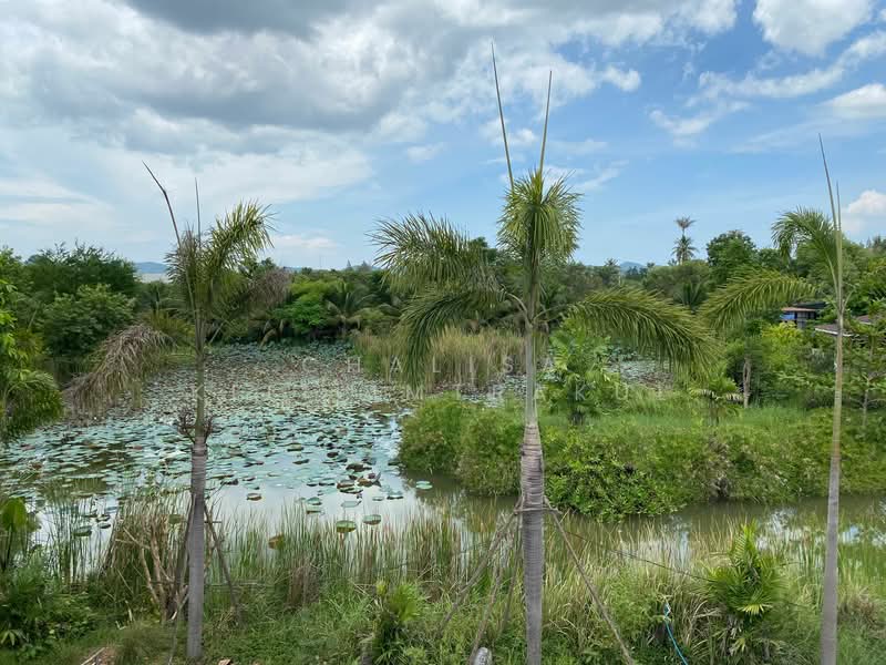 undefined, Prachuap Khiri Khan, Thap Tai, Hua Hin, Prachuap Khiri Khan, 1 Bedroom, 55 sqm, Single Detached House For Rent, by Chalisa Kitilimtrakul, 500243992 - DDproperty.com