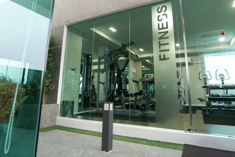 Play Condominium, Chiang Mai, Huay Kaew Road, Su Thep, Muang Chiang Mai, Chiang Mai, 1 Bedroom, 30 sqm, Condo For Rent, by Shori Asset Group Co., Ltd., 500244068 - DDproperty.com