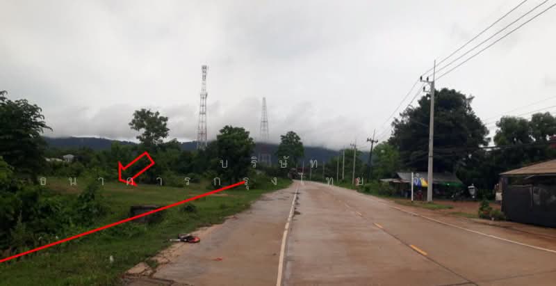 ขาย - ที่ดินเปล่า ตำบลบุ่งคล้า อำเภอบุ่งคล้า จังหวัดบึงกาฬ, บึงกาฬ