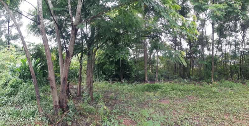 ที่ดินเปล่า ตำบลบุ่งคล้า อำเภอบุ่งคล้า จังหวัดบึงกาฬ, Bueng Kan, Bung Khla, Bung Khla, Bueng Kan, , 2,084 sqm, Land For Sale, by KRUNGTHAI BANK PCL., 500244107 - DDproperty.com