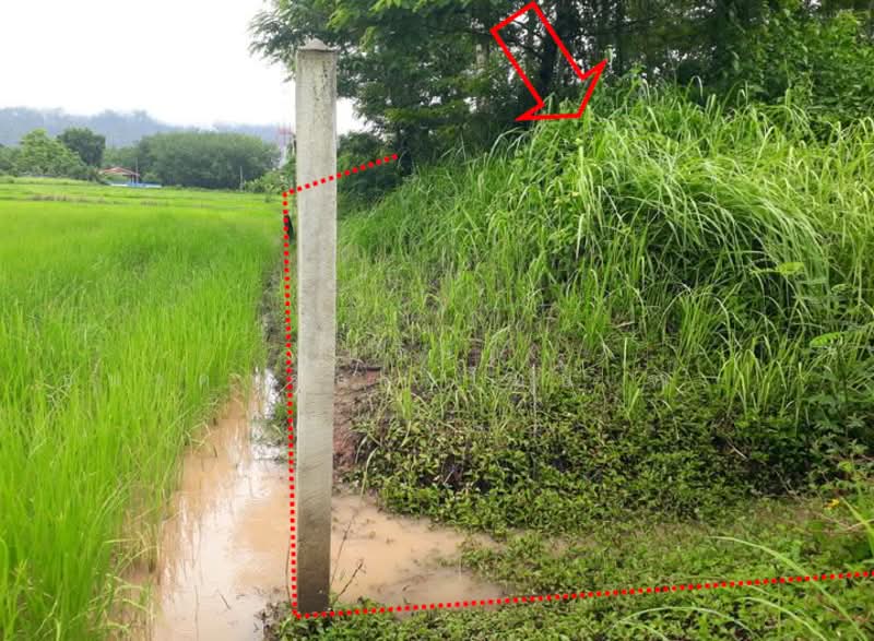 ที่ดินเปล่า ตำบลบุ่งคล้า อำเภอบุ่งคล้า จังหวัดบึงกาฬ, Bueng Kan, Bung Khla, Bung Khla, Bueng Kan, , 2,084 sqm, Land For Sale, by KRUNGTHAI BANK PCL., 500244107 - DDproperty.com