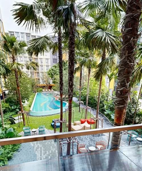 The Base Rise, Phuket, Wichit, Muang Phuket, Phuket, 1 Bedroom, 31 sqm, Condo For Sale, by Kanyarat  Numtuek, 500244135 - DDproperty.com