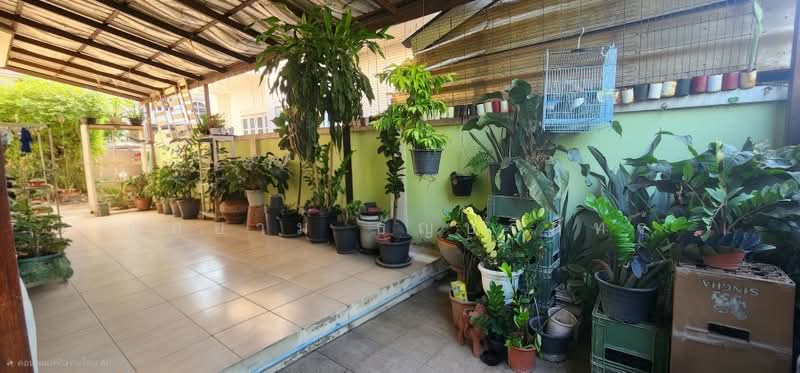 Beauty House 4, Nonthaburi, อัจฉริยะประสิทธิ์, Mahasawat, Bang Kruai, Nonthaburi, 3 Bedrooms, 149 sqm, Semi-Detached House (Twin House) For Sale, by ภูสยาม ธัญปริภัทร์, 500244231 - DDproperty.com
