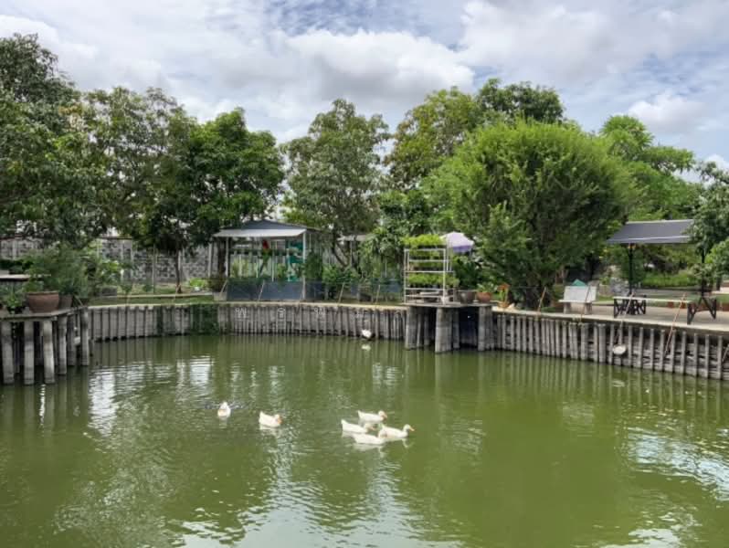 บ้านสวย บ้านสวน มีบ่อปลาธรรมชาติ 2 ไร่ กรุงเทพกรีฑา ซอย 37, กรุงเทพ, สะพานสูง, สะพานสูง, กรุงเทพ, 516 ตร.ม., บ้านเดี่ยว ขาย, โดย พรพิมล ., 500244324 - DDproperty.com