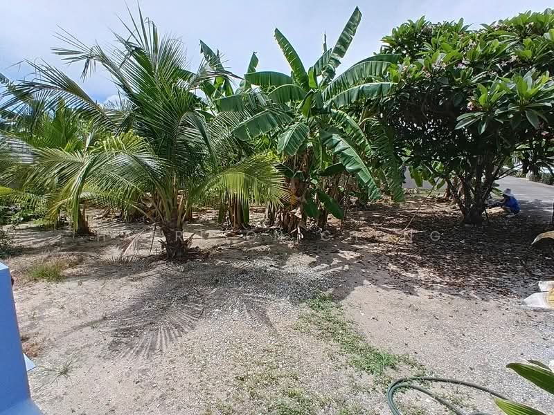 undefined, Prachuap Khiri Khan, Thap Tai, Hua Hin, Prachuap Khiri Khan, 3 Bedrooms, 190 sqm, Single Detached House For Sale, by Harrison Chong, 500244329 - DDproperty.com