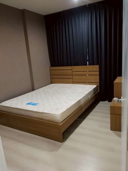 Aspire Sukhumvit 48, Bangkok, Sukhumvit Road, Phra Kanong, Khlong Toei, Bangkok, 1 Bedroom, 33 sqm, Condo For Rent, by Connex Property, 500244355 - DDproperty.com