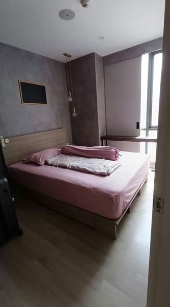 Sign Condo Sukhumvit 50 : ซายน์ คอนโด สุขุมวิท 50, กรุงเทพ, พระโขนง, คลองเตย, กรุงเทพ, 35 ตร.ม., คอนโด ให้เช่า, โดย Isika Tonkham, 500244530 - DDproperty.com