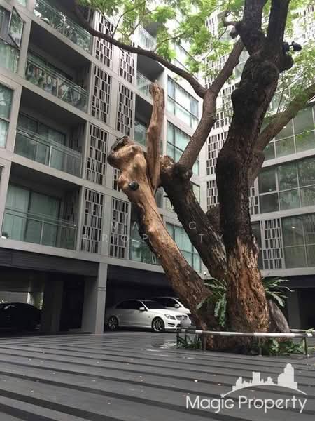 Via BOTANI, Bangkok, 36 Soi Sukhumvit 47, Sukhumvit Road, Khlong Tan Nua, Watthana, Bangkok, 1 Bedroom, 47 sqm, Condo For Rent, by Magic Property, 500244549 - DDproperty.com