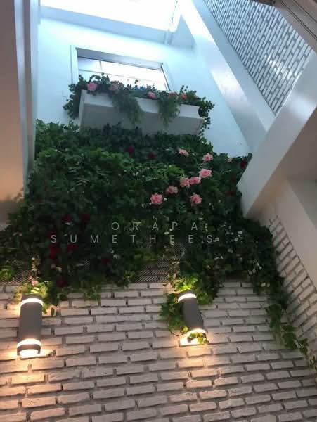 3-BR House, Bangkok, Din Daeng, Din Daeng, Bangkok, 3 Bedrooms, 224 sqm, Single Detached House For Sale, by Orapa Sumetheesirisakul, 500244567 - DDproperty.com