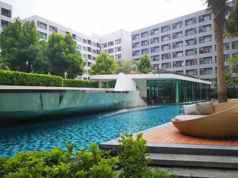 Elio Del Ray, Bangkok, 95 Sukhumvit 64 Road, Bang Chak, Phra Khanong, Bangkok, 1 Bedroom, 34 sqm, Condo For Rent, by ปรียาภรณ์ ภู่เจริญ, 500244639 - DDproperty.com