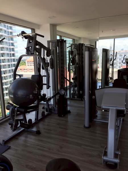 The View Cozy Beach Residence : เดอะ วิว โคซี่ บีช เรสซิเดนซ์, ชลบุรี, หนองปรือ, บางละมุง, ชลบุรี, 33 ตร.ม., คอนโด ขาย, โดย ณัฐกฤตยา กีรติอัครกุล, 500244769 - DDproperty.com