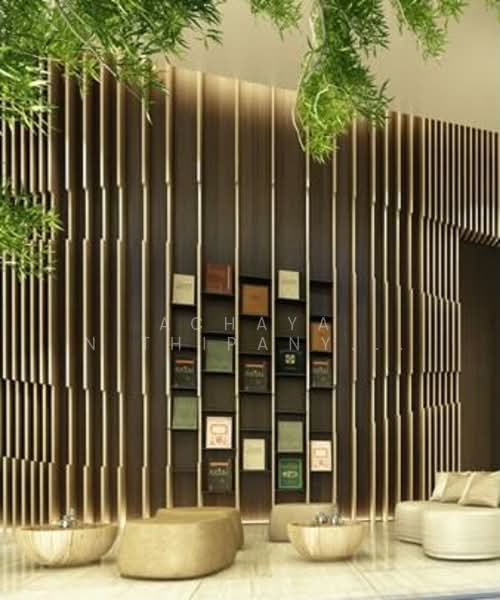 CEIL by Sansiri, Bangkok, 11 Soi Ekamai 12, Sukhumvit 63 Road, Khlong Tan Nua, Watthana, Bangkok, 1 Bedroom, 35 sqm, Condo For Rent, by Achaya Nithipanyawong, 500244788 - DDproperty.com